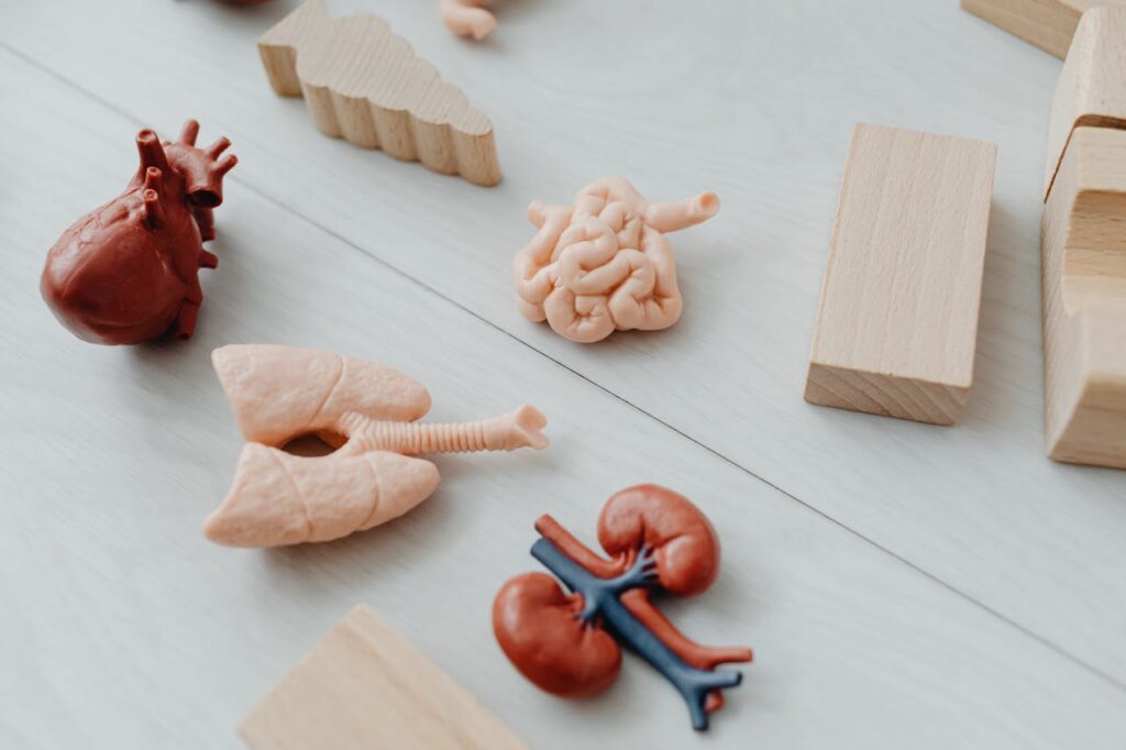 Kidney problems
